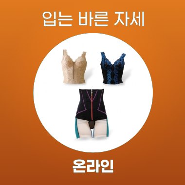 [입는 바른 자세] 3번 - C111(1개),BB484(2개) - 총3개